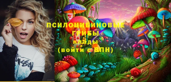 тгк Аркадак