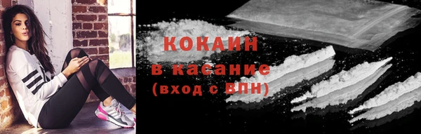 дживик Арсеньев