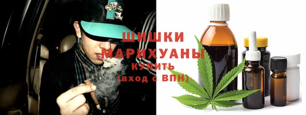 дмт Армянск