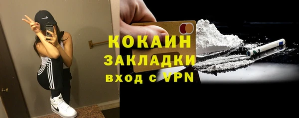 дживик Арсеньев