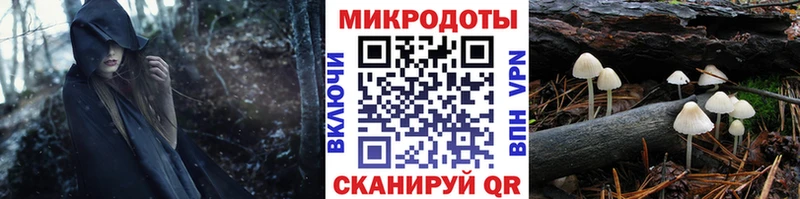 Галлюциногенные грибы мухоморы Можайск