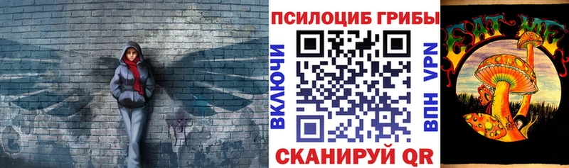 где купить наркоту  Можайск  Галлюциногенные грибы Cubensis 